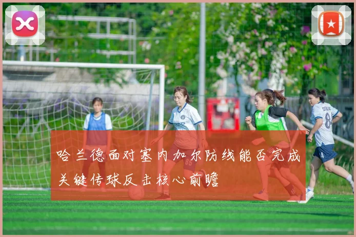 哈兰德面对塞内加尔防线能否完成关键传球反击核心前瞻