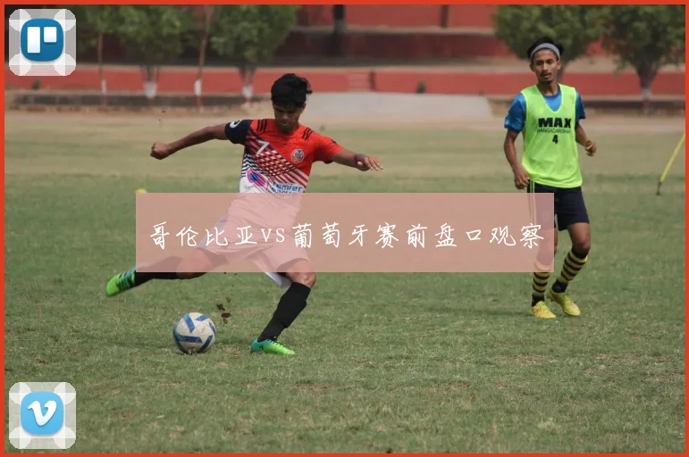 哥伦比亚vs葡萄牙赛前盘口观察