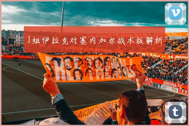 I组伊拉克对塞内加尔战术板解析